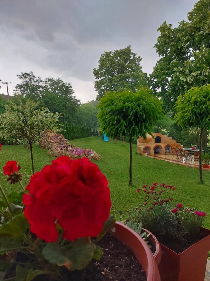 Kuca Za Uzivanje Валево Екстер'єр фото